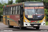 TLGSA - Transporte Loma Grande S.A. - Línea 132 > Transporte LomaGrandense S.A. 1271 na cidade de Ypacaraí, Central, Paraguai, por José Paredes. Número da foto: #12767875.