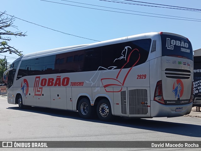 Lobão Turismo 2929 na cidade de Cotia, São Paulo, Brasil, por David Macedo Rocha. Número da foto: #12770204.