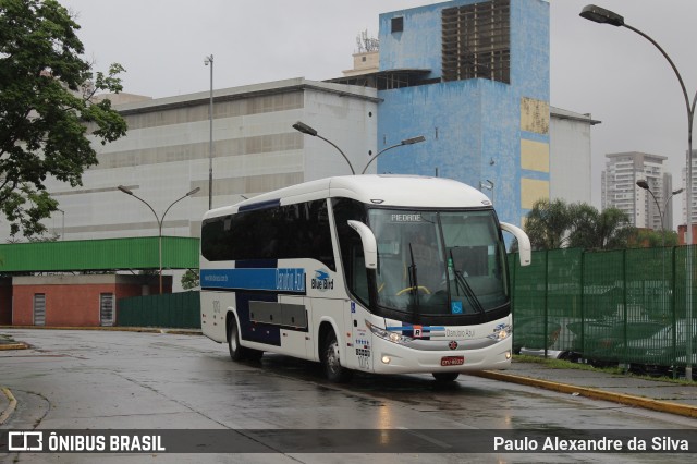 VIDA - Viação Danúbio Azul 10.013 na cidade de São Paulo, São Paulo, Brasil, por Paulo Alexandre da Silva. Número da foto: #12770184.