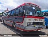 Vip Bus Comércio de Ônibus 1975 na cidade de Barueri, São Paulo, Brasil, por Marcos Oliveira. Número da foto: #12770067.