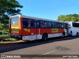 Transporte Rural DAO4702 na cidade de Fernandópolis, São Paulo, Brasil, por João Vitor Pereira. Número da foto: #12768984.