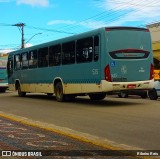 Viação Nossa Senhora Conquistadora 525 na cidade de Pelotas, Rio Grande do Sul, Brasil, por Ribeiro Reis. Número da foto: #12769625.