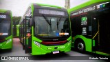Auto Viação Transcap >> Auto Bless Transportes 8 5833 na cidade de São Paulo, São Paulo, Brasil, por Roberto Teixeira. Número da foto: #12770168.