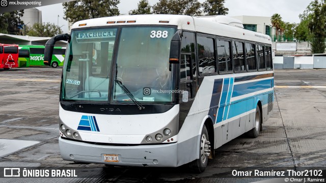 Autotransportes de Hidalgo 388 na cidade de Pachuca de Soto, Hidalgo, México, por Omar Ramírez Thor2102. Número da foto: #12773237.