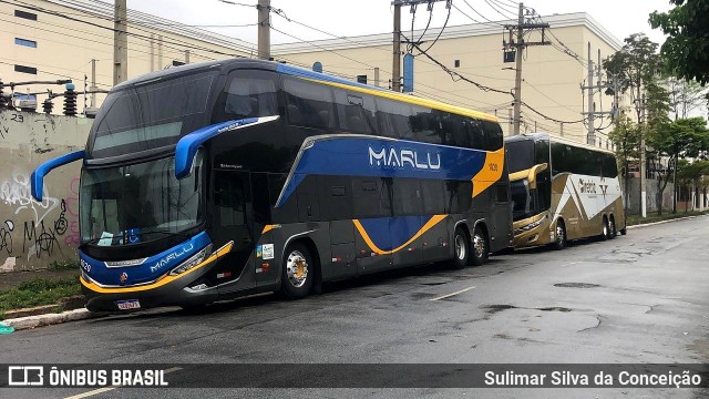 Marlu Turismo 1020 na cidade de São Paulo, São Paulo, Brasil, por Sulimar Silva da Conceição. Número da foto: #12773166.