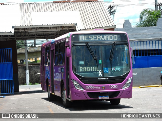 Radial Transporte Coletivo 1230 na cidade de Suzano, São Paulo, Brasil, por HENRIQUE ANTUNES. Número da foto: #12771708.