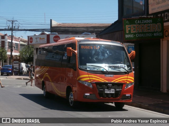 Buses TLP 60 na cidade de Santa Cruz, Colchagua, Libertador General Bernardo O'Higgins, Chile, por Pablo Andres Yavar Espinoza. Número da foto: #12774309.