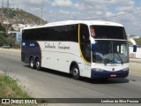 Saldanha Turismo 2006 na cidade de Caruaru, Pernambuco, Brasil, por Lenilson da Silva Pessoa. Número da foto: #12773978.
