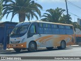 Buses Gran Puerto San Antonio 07 na cidade de El Tabo, San Antonio, Valparaíso, Chile, por Benjamín Tomás Lazo Acuña. Número da foto: #12773874.