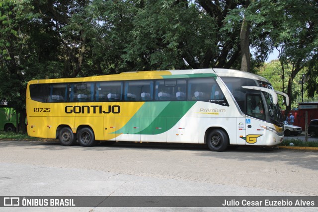 Empresa Gontijo de Transportes 18725 na cidade de São Paulo, São Paulo, Brasil, por Julio Cesar Euzebio Alves. Número da foto: #12776189.