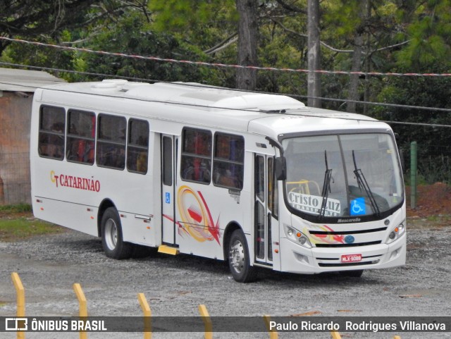 Catarinão Turismo 3900 na cidade de Balneário Camboriú, Santa Catarina, Brasil, por Paulo Ricardo  Rodrigues Villanova. Número da foto: #12776005.