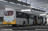 Pontual Sul Transporte e Turismo 6480 na cidade de Botucatu, São Paulo, Brasil, por Alexandre Mizael Detoni. Número da foto: #12775481.