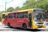 Lince 15 na cidade de Asunción, Paraguai, por José Paredes. Número da foto: #12776409.