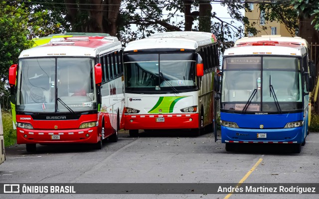 Transportes Campos 07 na cidade de Mata Redonda, San José, San José, Costa Rica, por Andrés Martínez Rodríguez. Número da foto: #12699456.