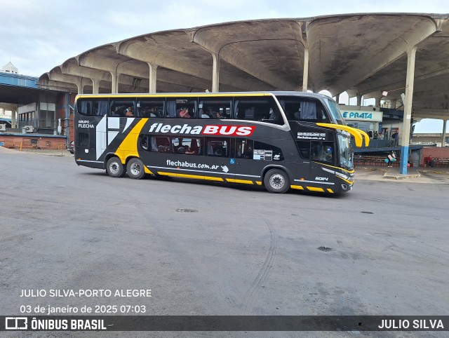 Flecha Bus 60114 na cidade de Porto Alegre, Rio Grande do Sul, Brasil, por JULIO SILVA. Número da foto: #12700265.