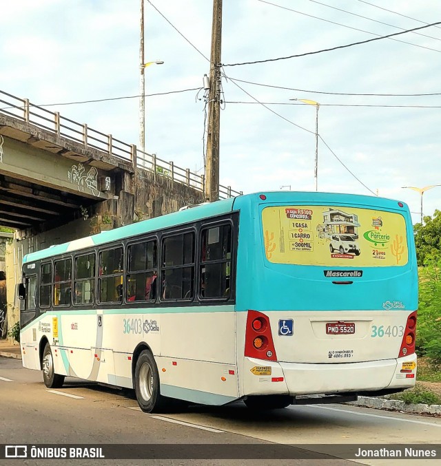 Viação Santa Cecília 36403 na cidade de Fortaleza, Ceará, Brasil, por Jonathan Nunes. Número da foto: #12699995.