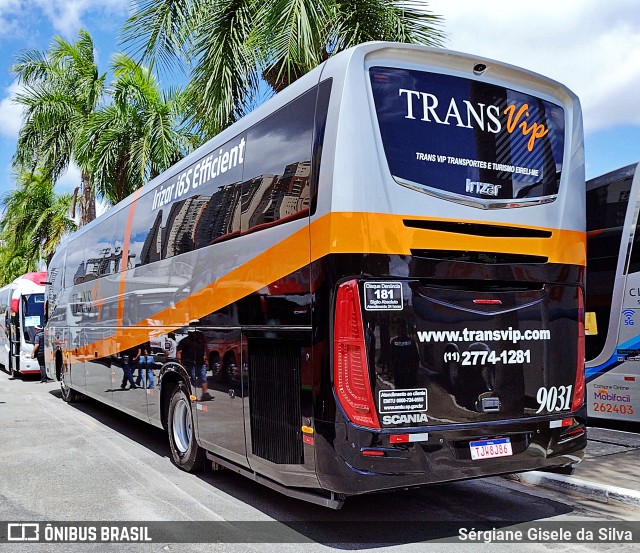 Trans Vip Transportes e Turismo 9031 na cidade de Barueri, São Paulo, Brasil, por Sérgiane Gisele da Silva. Número da foto: #12701669.