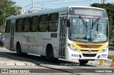 Via Sul TransFlor 5120 na cidade de Natal, Rio Grande do Norte, Brasil, por Gabriel Felipe. Número da foto: #:id.