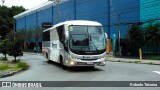 Rosa Turismo 23110 na cidade de São Paulo, São Paulo, Brasil, por Roberto Teixeira. Número da foto: #12700975.