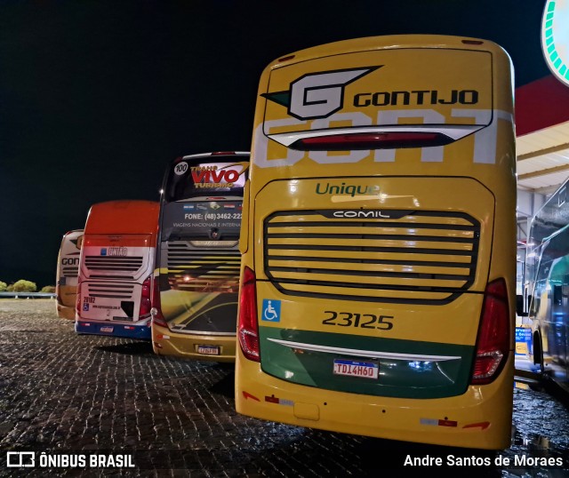 Empresa Gontijo de Transportes 23125 na cidade de Estiva, Minas Gerais, Brasil, por Andre Santos de Moraes. Número da foto: #12778078.