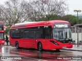 Blue Triangle Buses Limited SEE293 na cidade de London, Greater London, Inglaterra, por Fábio Takahashi Tanniguchi. Número da foto: #12778060.