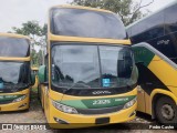 Empresa Gontijo de Transportes 23125 na cidade de Belo Horizonte, Minas Gerais, Brasil, por Pedro Castro. Número da foto: #12777588.