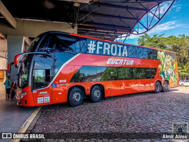 Eucatur - Empresa União Cascavel de Transportes e Turismo 6018 na cidade de Joinville, Santa Catarina, Brasil, por Almir Alves. Número da foto: #12780468.