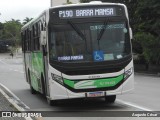 Viação Elite RJ 176.058 na cidade de Volta Redonda, Rio de Janeiro, Brasil, por Augusto César. Número da foto: #12779450.