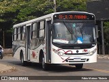 Trectur 1432 na cidade de Três Corações, Minas Gerais, Brasil, por Fábio Mateus Tibúrcio. Número da foto: #12780908.
