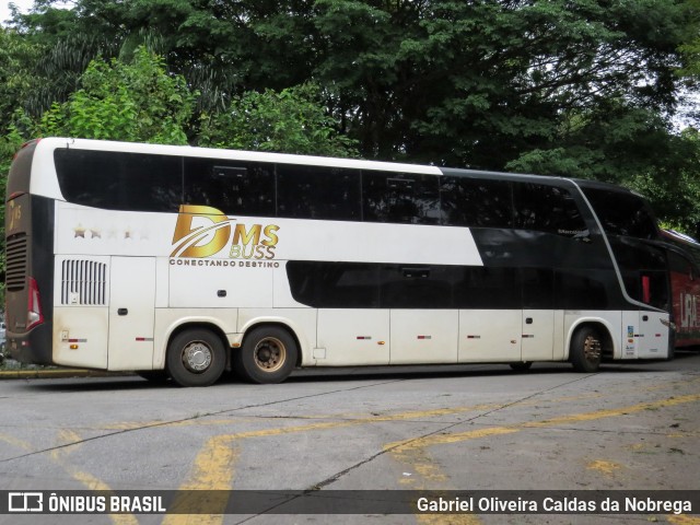 DMS Buss 210 na cidade de São Paulo, São Paulo, Brasil, por Gabriel Oliveira Caldas da Nobrega. Número da foto: #12702775.