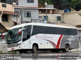 Paraibuna Transportes 22010 na cidade de Manhumirim, Minas Gerais, Brasil, por Emerson Leite de Andrade. Número da foto: #12702893.