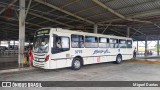 Expresso Vitória Bahia 3775 na cidade de Salvador, Bahia, Brasil, por Miguel Dantas. Número da foto: #:id.