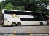 DMS Buss 210 na cidade de São Paulo, São Paulo, Brasil, por Gabriel Oliveira Caldas da Nobrega. Número da foto: #12702775.