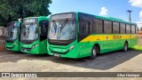 Transportes Capellini 32862 na cidade de Paulínia, São Paulo, Brasil, por Allan Henrique. Número da foto: #12702700.