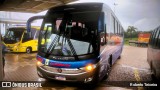 Cati Rose Transporte de Passageiros 207 na cidade de Jundiaí, São Paulo, Brasil, por Roberto Teixeira. Número da foto: #12705937.