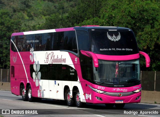 A Gladiadora Turismo 3737 na cidade de Aparecida, São Paulo, Brasil, por Rodrigo  Aparecido. Número da foto: #12707712.