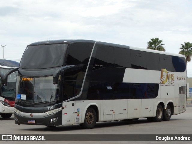 DMS Buss 210 na cidade de Goiânia, Goiás, Brasil, por Douglas Andrez. Número da foto: #12708288.