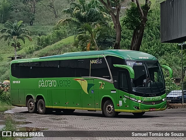 Pássaro Verde 19153 na cidade de Ponte Nova, Minas Gerais, Brasil, por Samuel Tomás de Souza. Número da foto: #12707112.