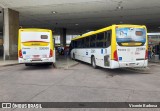 Viação Pioneira 233901 na cidade de Brasília, Distrito Federal, Brasil, por Vicente Barbosa. Número da foto: #:id.