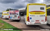 Viação Pioneira 228036 na cidade de Brasília, Distrito Federal, Brasil, por Vicente Barbosa. Número da foto: #:id.