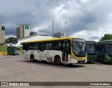 Viação Pioneira 233226 na cidade de Brasília, Distrito Federal, Brasil, por Vicente Barbosa. Número da foto: #:id.