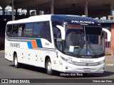 Expresso Palmares 2440 na cidade de Porto Alegre, Rio Grande do Sul, Brasil, por Otávio dos Reis . Número da foto: #12708801.