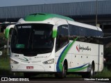 Ipojucatur 1064 na cidade de Cajamar, São Paulo, Brasil, por Hércules Cavalcante. Número da foto: #:id.