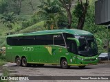 Pássaro Verde 19153 na cidade de Ponte Nova, Minas Gerais, Brasil, por Samuel Tomás de Souza. Número da foto: #12707112.