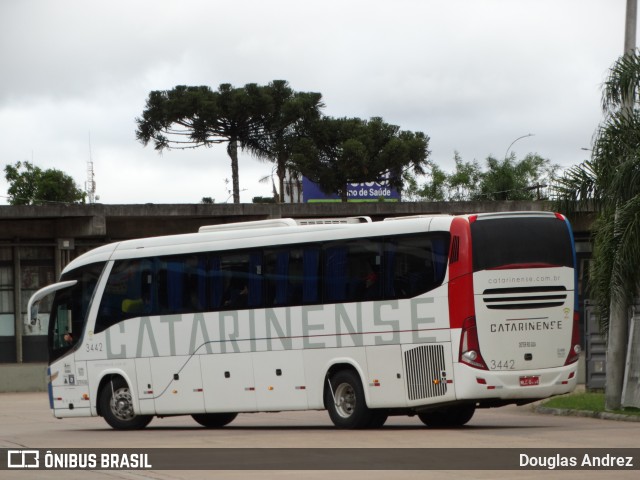 Auto Viação Catarinense 3442 na cidade de Curitiba, Paraná, Brasil, por Douglas Andrez. Número da foto: #12710215.