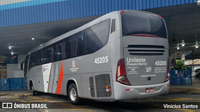 Empresa de Ônibus Pássaro Marron 45.205 na cidade de Caraguatatuba, São Paulo, Brasil, por Vinícius Santos. Número da foto: #12711046.