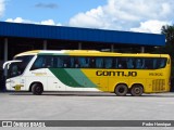 Empresa Gontijo de Transportes 19355 na cidade de Nova Serrana, Minas Gerais, Brasil, por Pedro Henrique. Número da foto: #12710033.