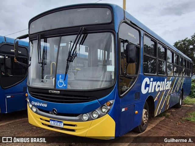 Prefeitura Municipal de Cravinhos 1237 na cidade de Cravinhos, São Paulo, Brasil, por Guilherme A.. Número da foto: #12712103.