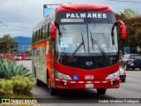 ATP - Autotransportes Palmares 15 na cidade de Mata Redonda, San José, San José, Costa Rica, por Andrés Martínez Rodríguez. Número da foto: #12712934.