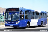 Subus 7419 na cidade de El Bosque, Santiago, Metropolitana de Santiago, Chile, por Franz Hecher. Número da foto: #12713476.